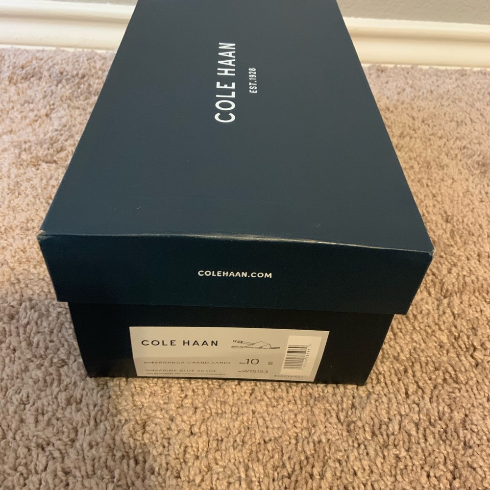 cole haan fernanda grand flat sandal